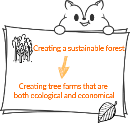 Creating a sustainable forest