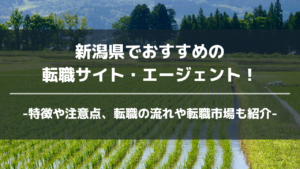 新潟県転職サイト・エージェントアイキャッチ